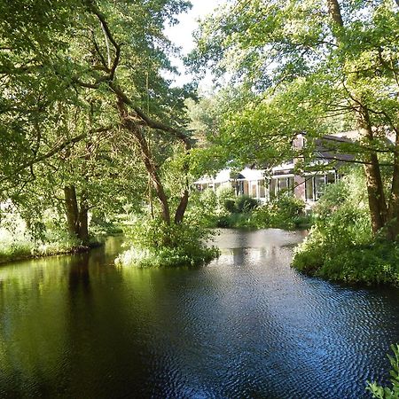 Ellernhof Hotell Dahlenburg Eksteriør bilde